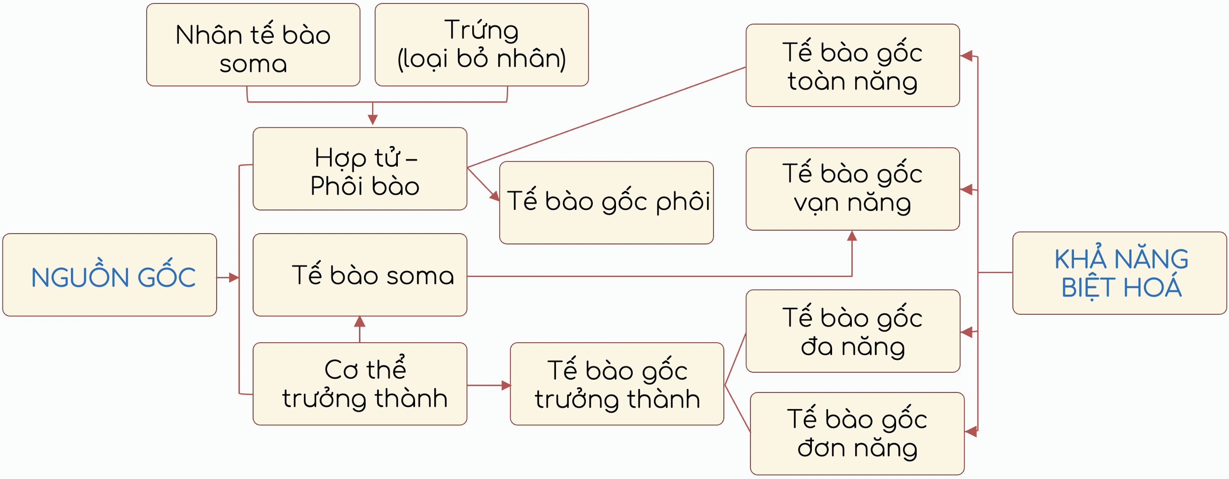 tế bào gốc